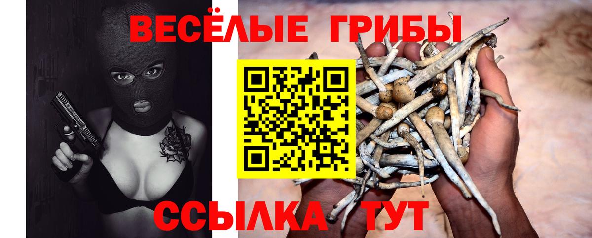 Псилоцибиновые грибы мухоморы Петропавловск-Камчатский