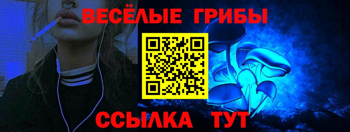 Петропавловск-Камчатский  Псилоцибиновые грибы мухоморы  Вход с VPN 